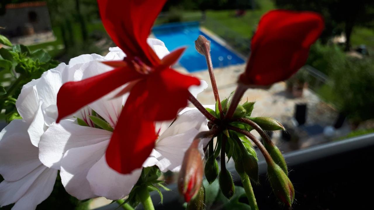 Pension Am Weinberg Bed & Breakfast Mainstockheim Экстерьер фото