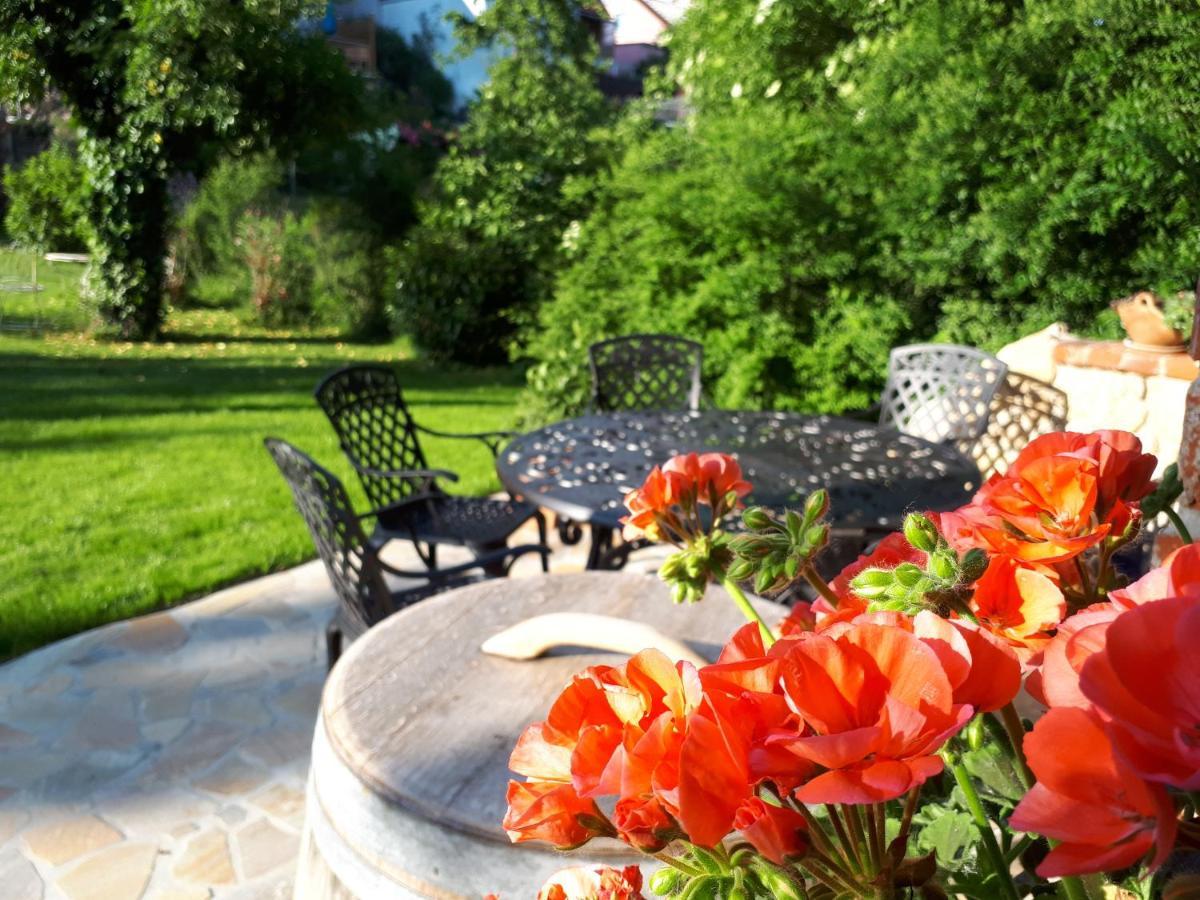 Pension Am Weinberg Bed & Breakfast Mainstockheim Экстерьер фото