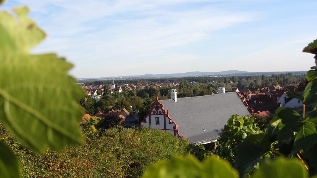 Pension Am Weinberg Bed & Breakfast Mainstockheim Экстерьер фото